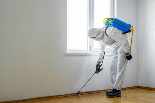 Professional Pest Control in Marietta, GA